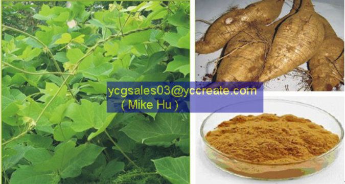 Pueraria Extract